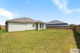 9488 Queen Palm - Photo 17