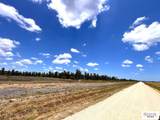 (TRACT 2) Gomez Rd - Photo 6