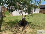 214 10TH ST. - Photo 12