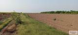 10 Acres Mile 4 - Photo 6