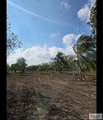 515 Acacia Lake Dr. - Photo 15