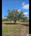 515 Acacia Lake Dr. - Photo 17