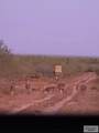 845.9 AC Haynes Rd - Photo 11