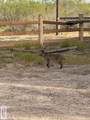 845.9 AC Haynes Rd - Photo 15