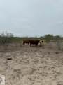 845.9 AC Haynes Rd - Photo 21