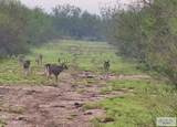 845.9 AC Haynes Rd - Photo 5