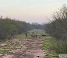 845.9 AC Haynes Rd - Photo 7