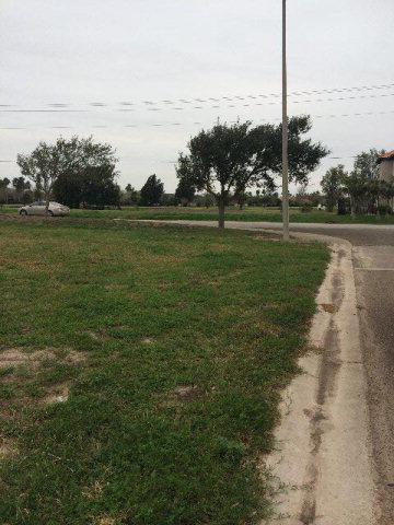 260 Resaca Bend - Photo 1