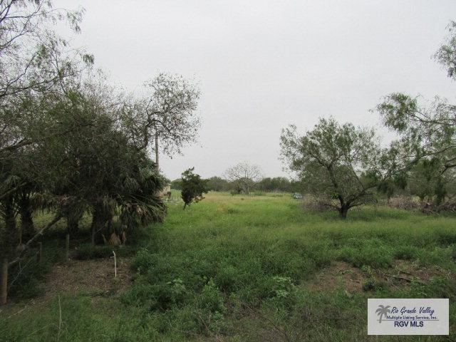 950 Agar Ln. - Photo 1