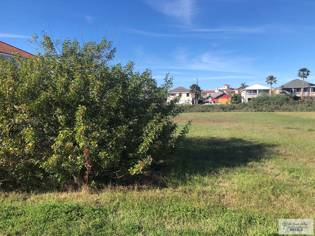 216 Hibiscus - Photo 1