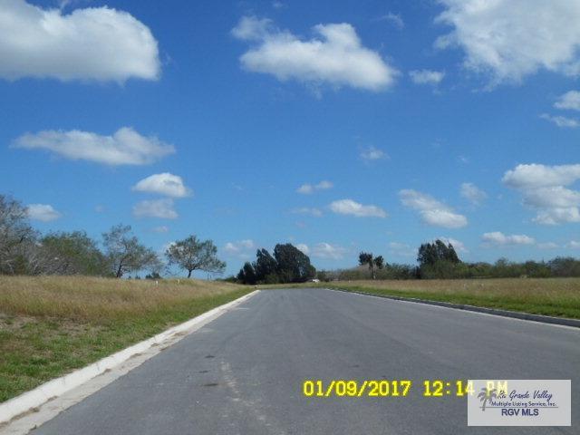 LOT 1 Circulo Paradise - Photo 1