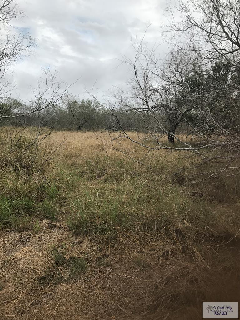 23427 Leal St. - Photo 1