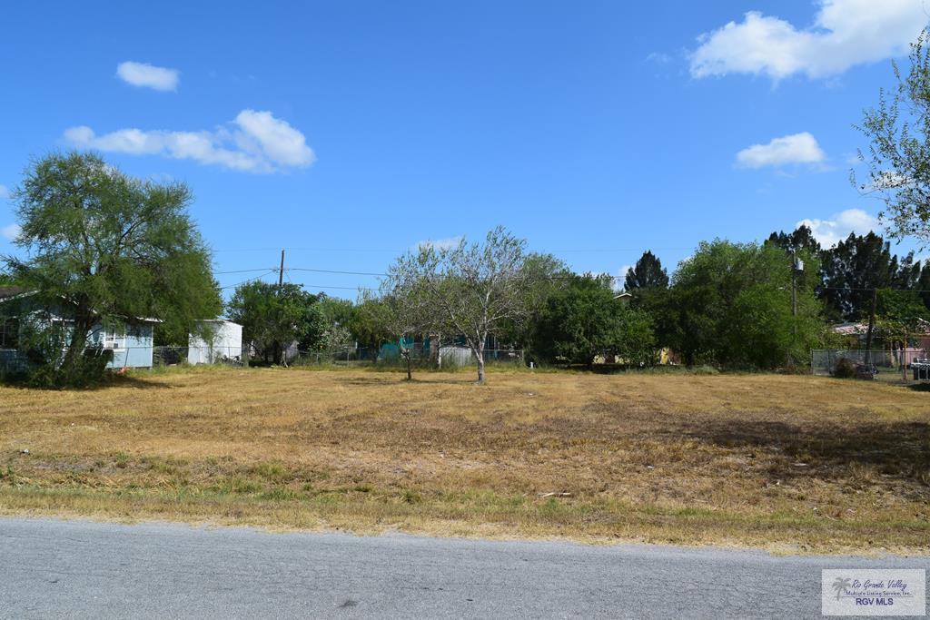 00 Cary - Photo 1