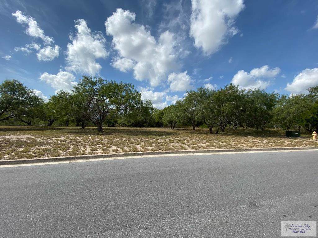 Lot 3 Farwest Trl. - Photo 1