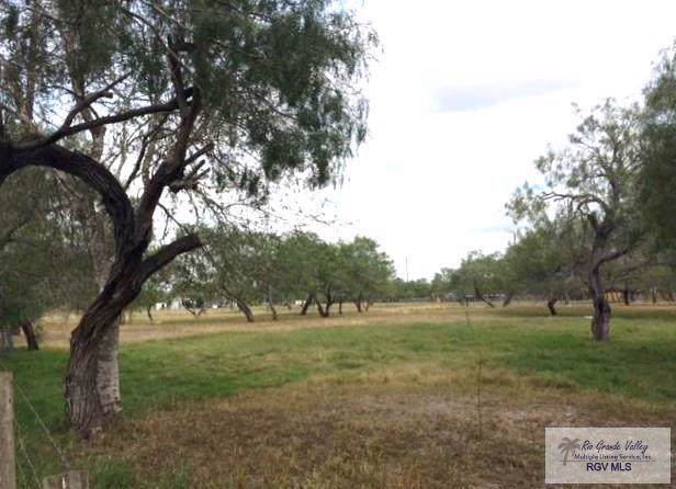 1254 Military Hwy. - Photo 1