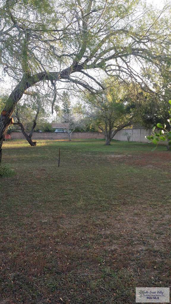 00 Santa Isabel Blvd. - Photo 1