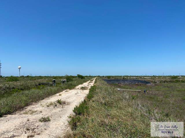 36386 Marshall Hutts Rd. - Photo 1