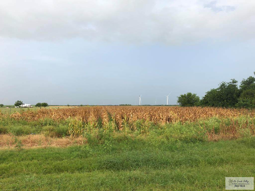 00 Brown Tract Rd - Photo 1