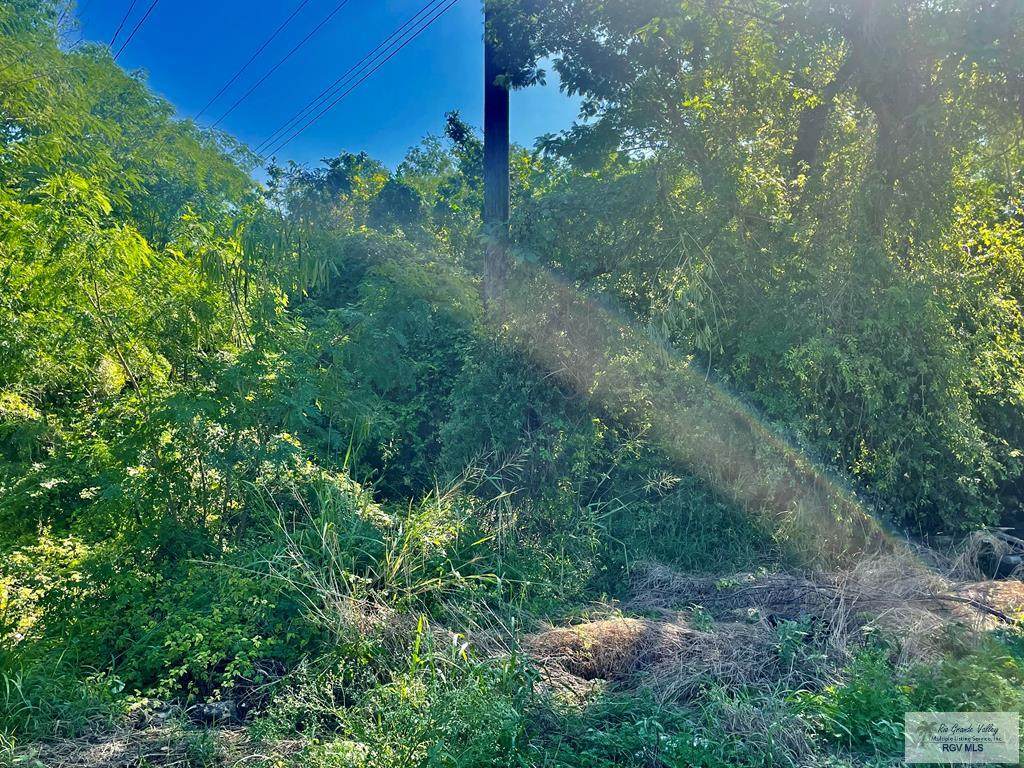 0 Dockberry Rd - Photo 1