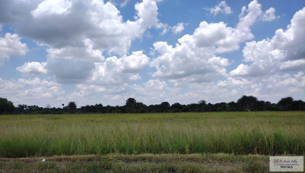 22601 Rabb Rd. - Photo 1