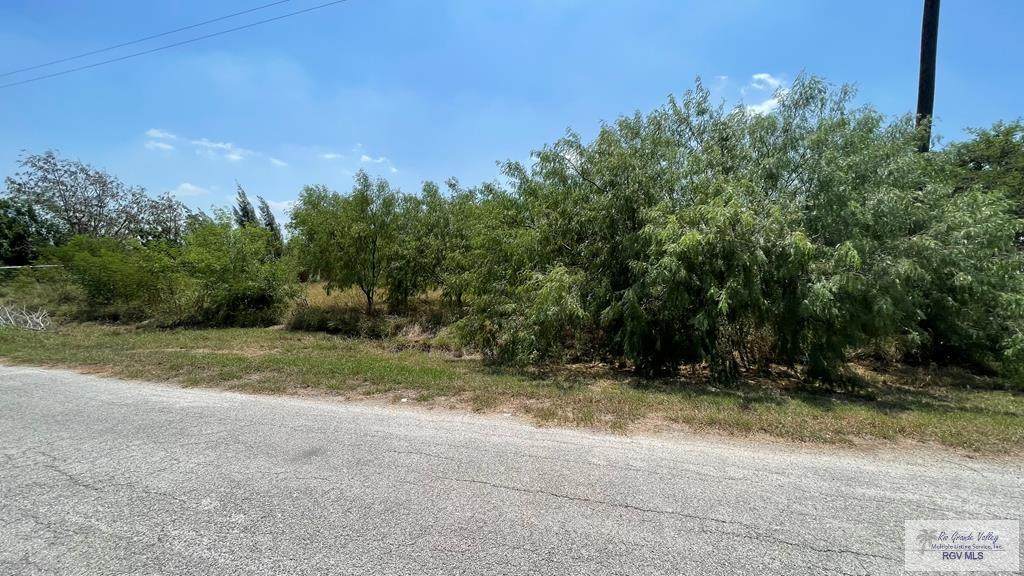 1452 Calle Santa Ana - Photo 1