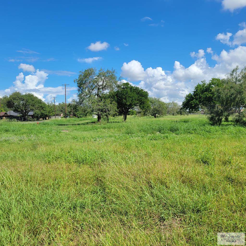 LOT 4 Houston Rd. - Photo 1