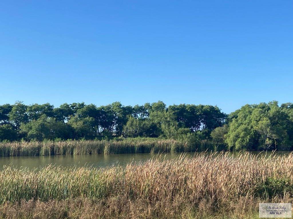 39532 Palm Ln. - Photo 1