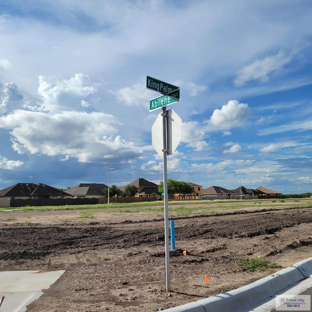 LOT 11 King Palm Loop - Photo 1
