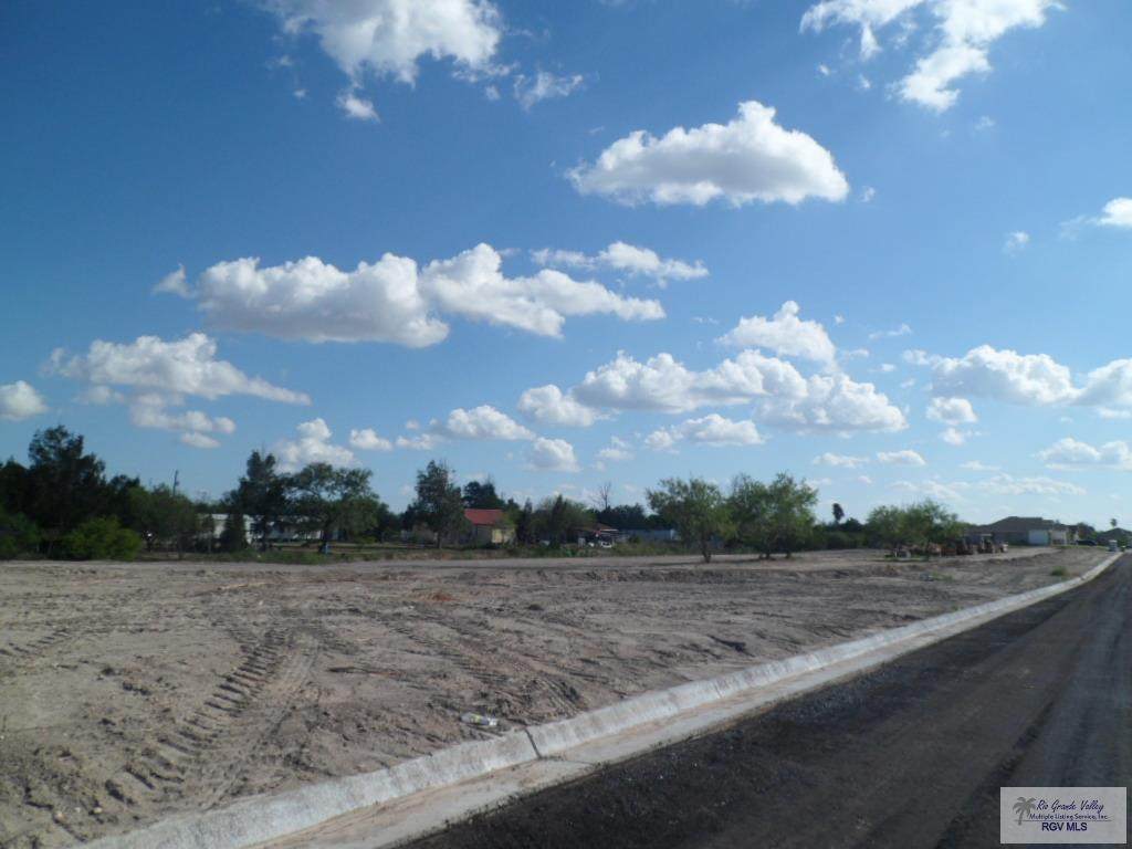 LOT 75 Circulo Paradise - Photo 1