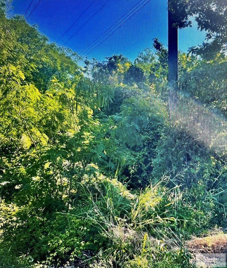 0 Dockberry Rd - Photo 1