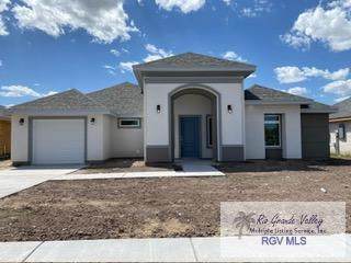 229 Manuel Trevino Rd - Photo 1