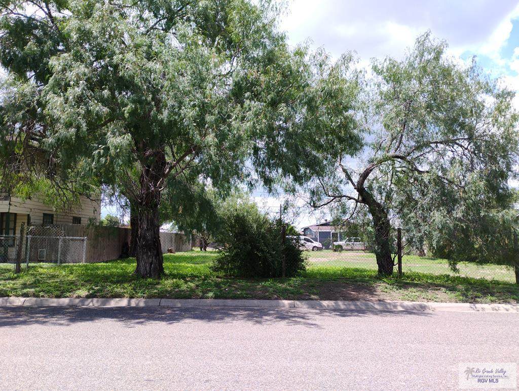 210 Primrose Ave. - Photo 1
