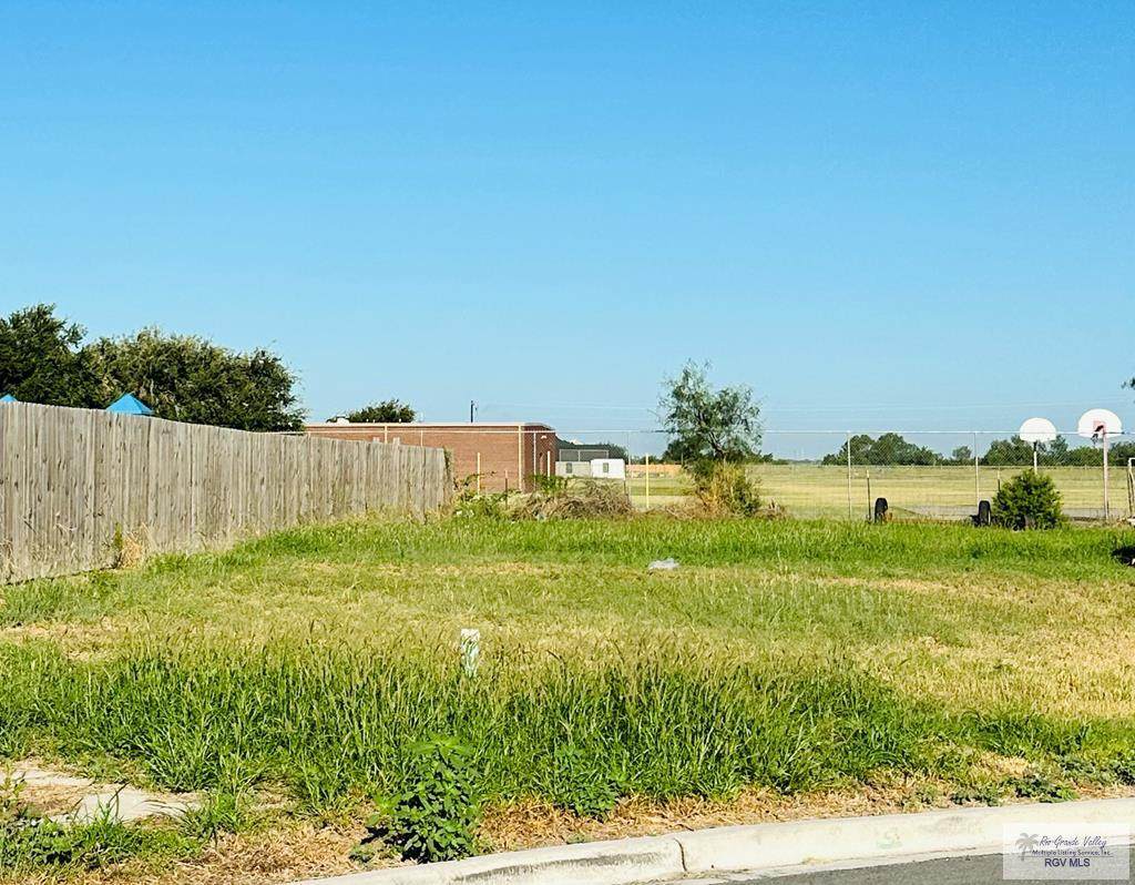 10701 Baylie Bear Dr - Photo 1