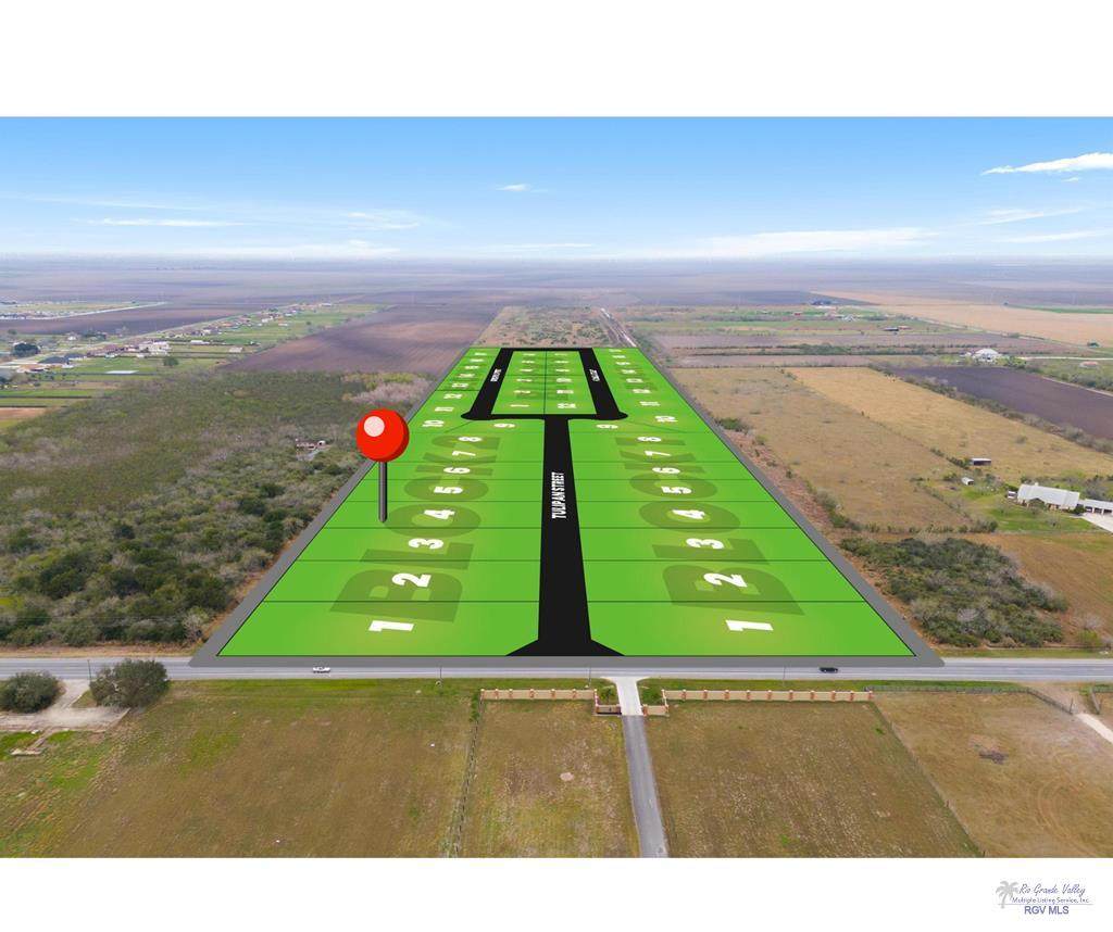 00 Tulipan St. - Photo 1