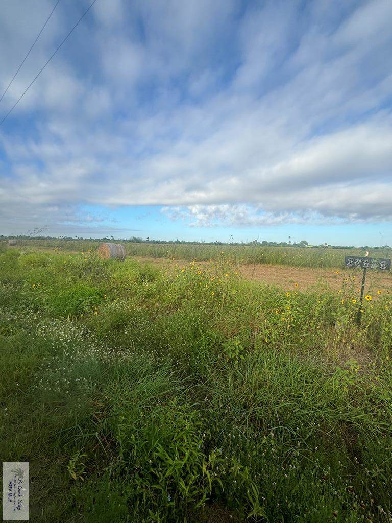11.594 ACRES Louisiana Rd. - Photo 1