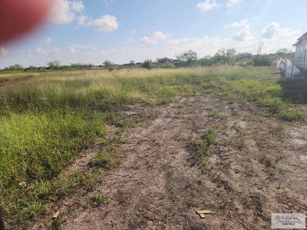 LOT 9 Willow Palm Court - Photo 1