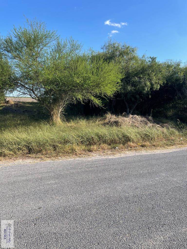 00 Irene St. - Photo 1