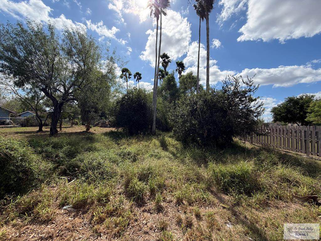 00 Botts Ave - Photo 1