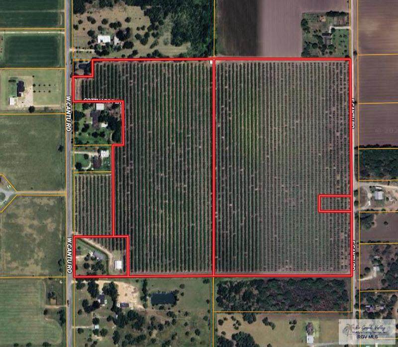 0000 Cantu Rd. - Photo 1