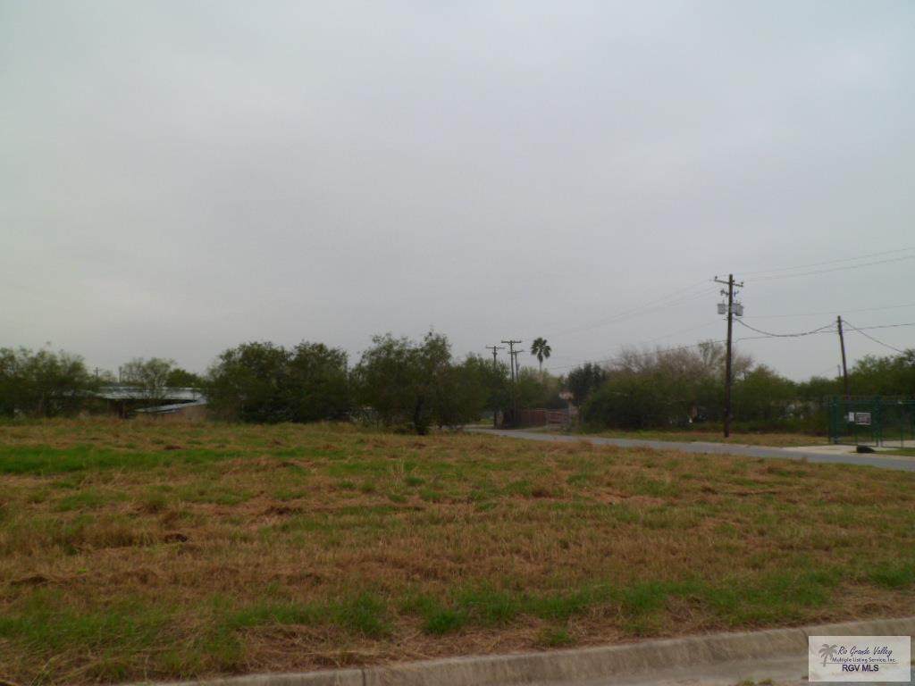 LOT 2 Circulo Paradise - Photo 1
