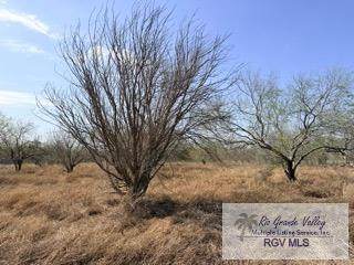 000 Gamble Rd - Photo 1
