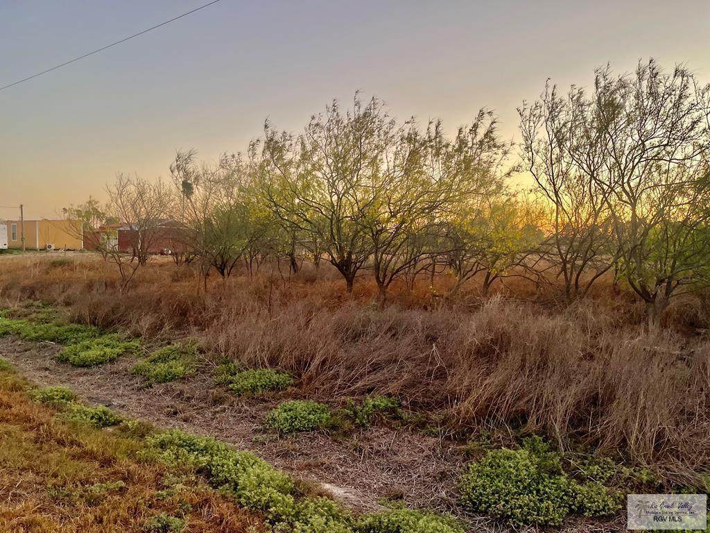 N/A Louisiana Rd. - Photo 1