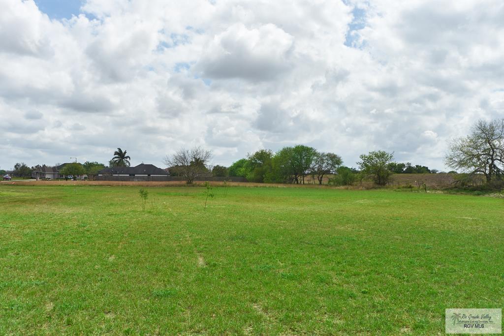 0000 Halo Ave. - Photo 1