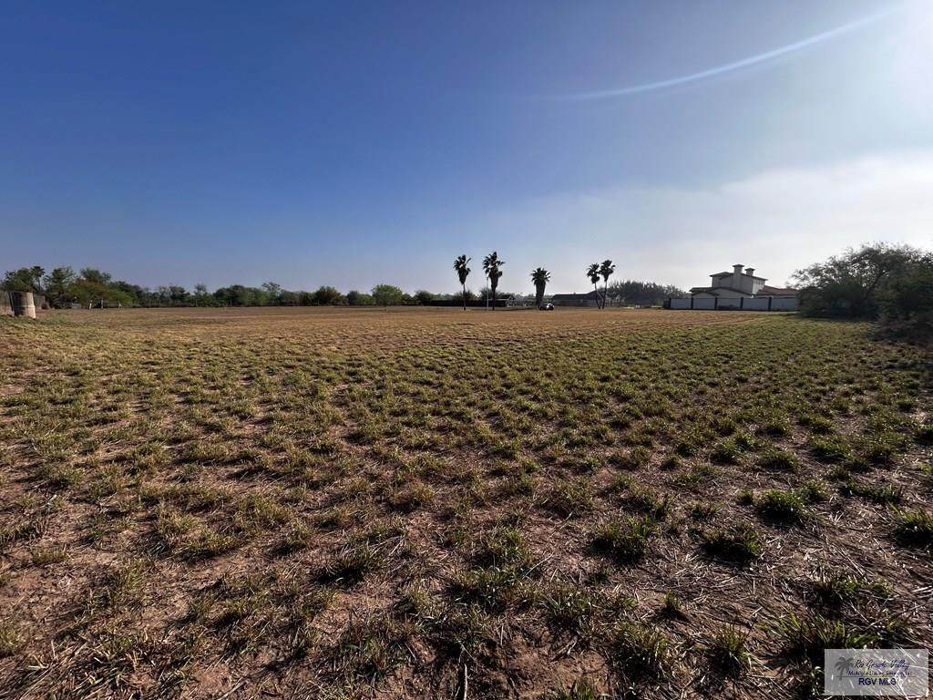 1400 Morales Dr - Photo 1