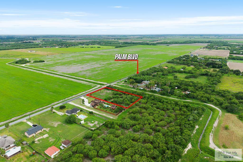 000 Palm Blvd. - Photo 1