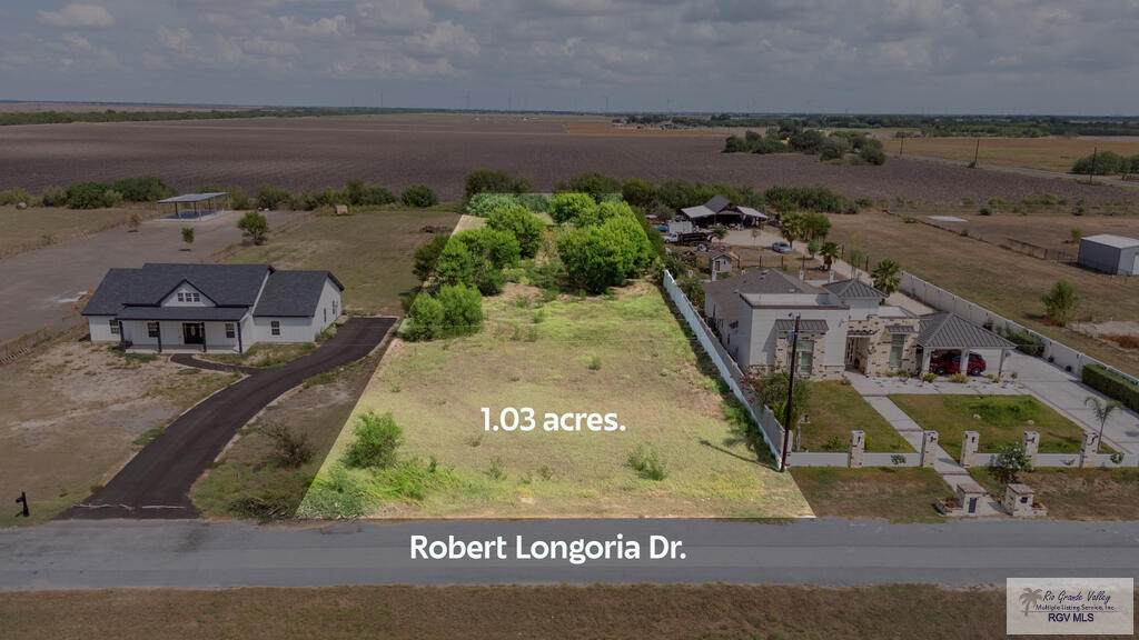 0 Robert Longoria Dr. - Photo 1