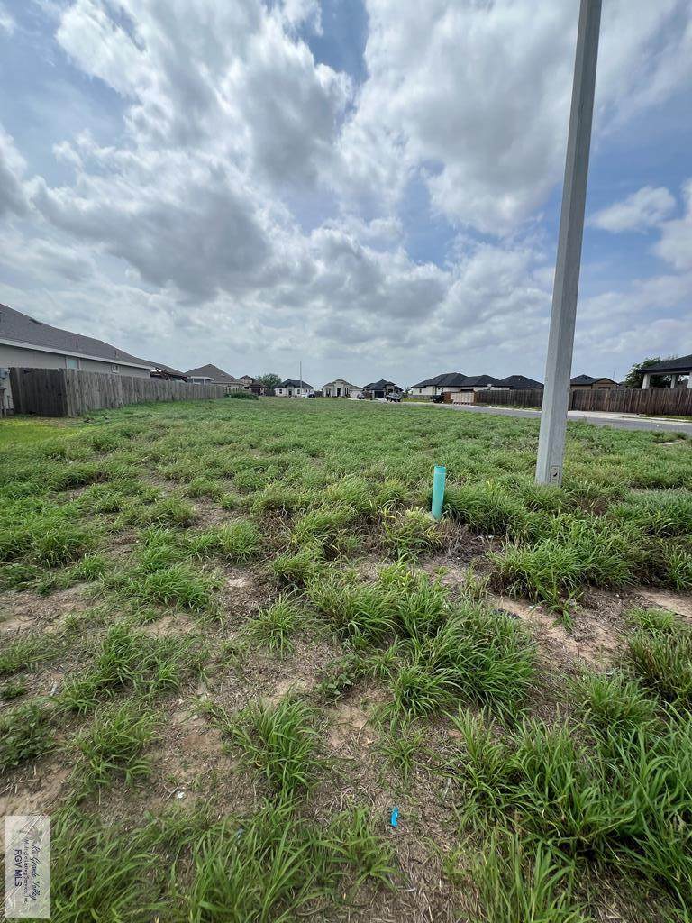 10741 Sugar Bear Dr - Photo 1