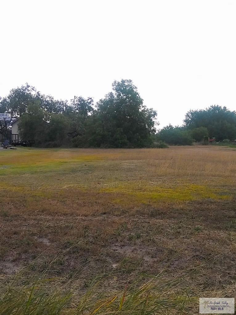 Lot 3 Dilworth Road - Photo 1