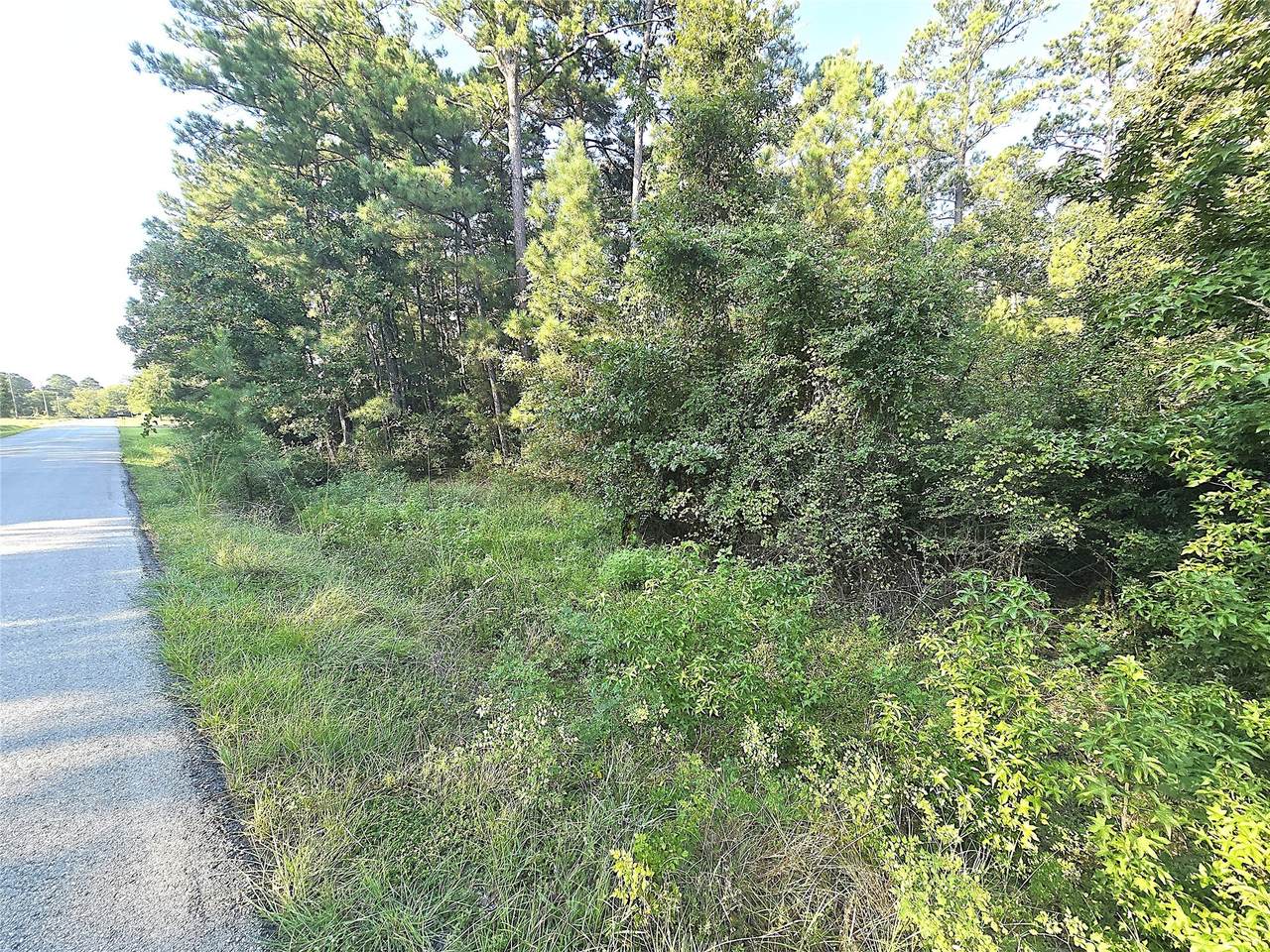 TBD Oakwood Drive - Photo 1