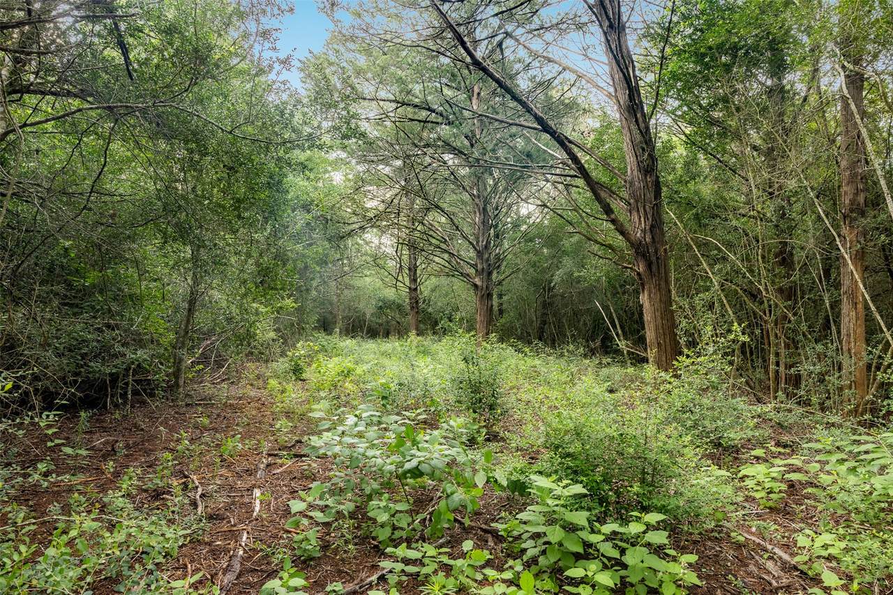 TBD Homestead Lane - Photo 1